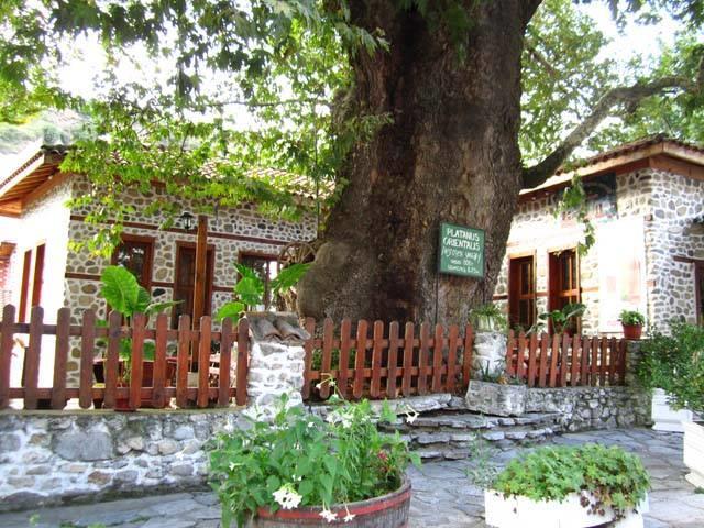 Комплекс Стария Чинар Мельник Экстерьер фото