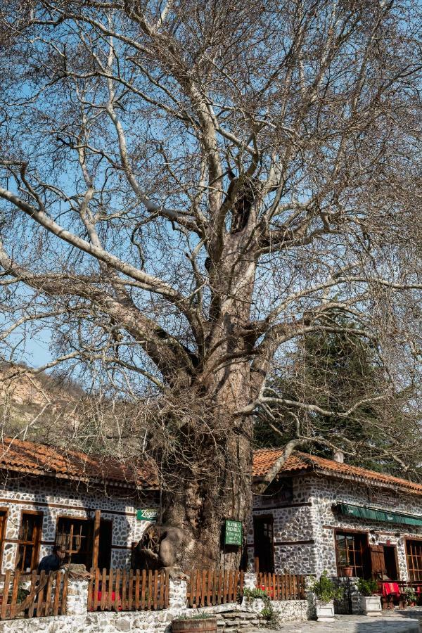 Комплекс Стария Чинар Мельник Экстерьер фото