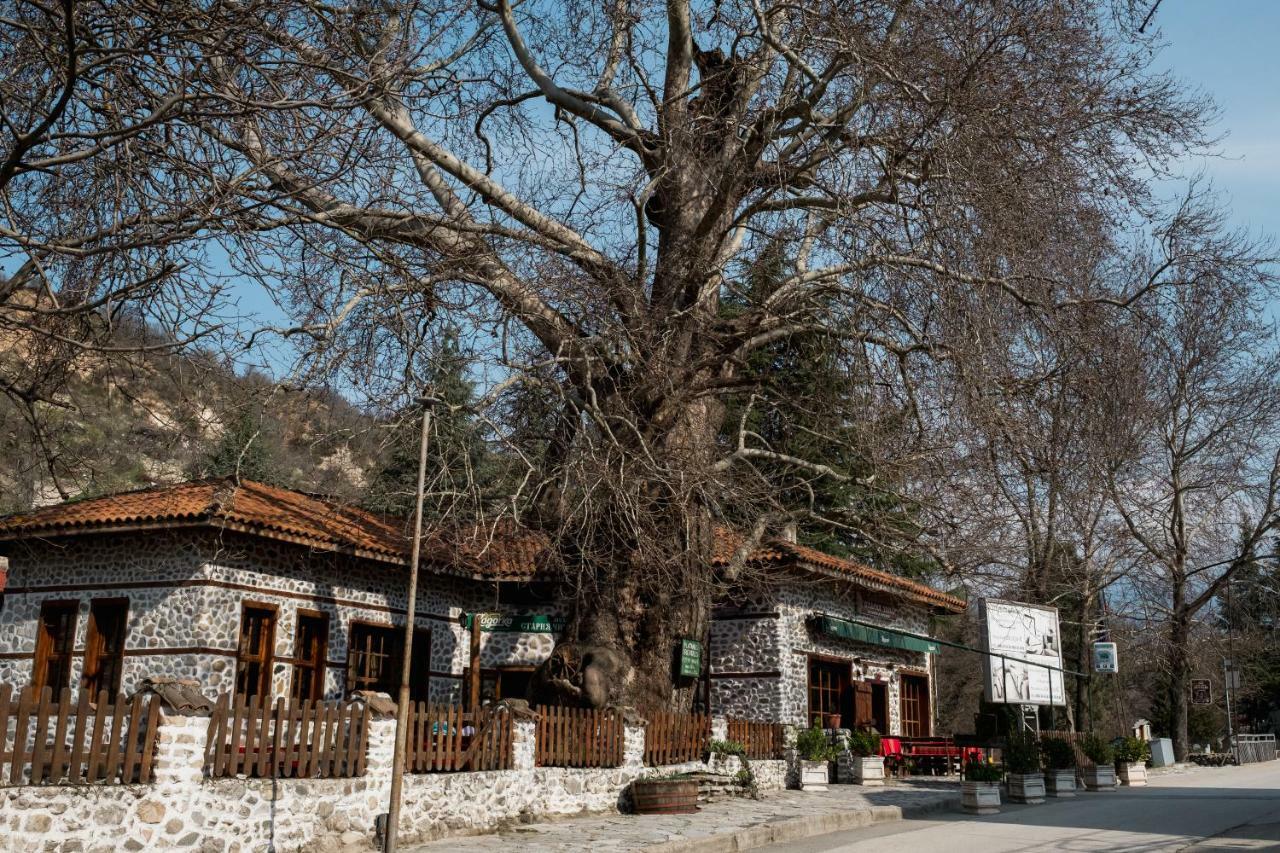 Комплекс Стария Чинар Мельник Экстерьер фото